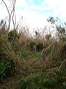 dsc00500